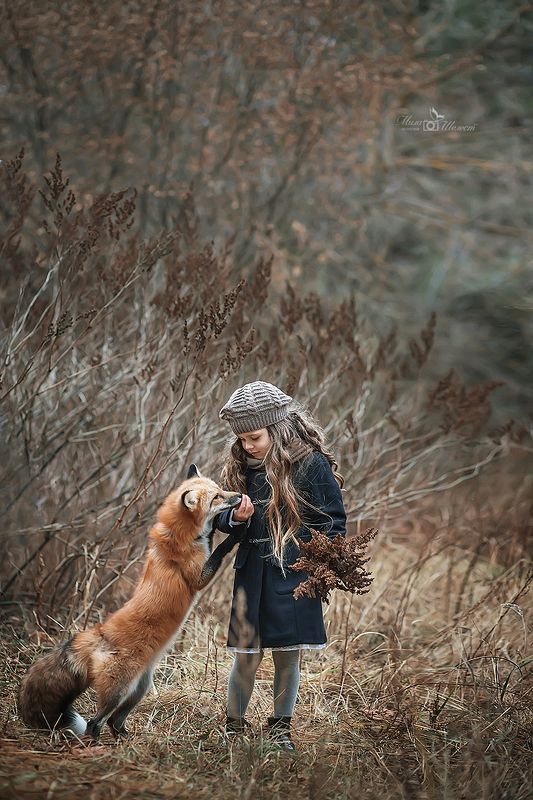 Лесная встречаphoto preview