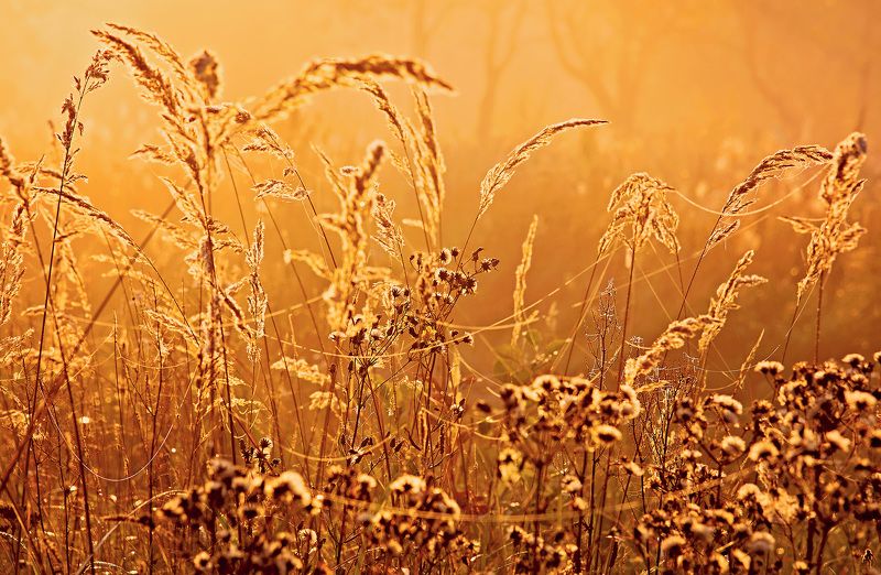 Photo, photo studio, photo travel, photo nature, woomen Texturephoto preview