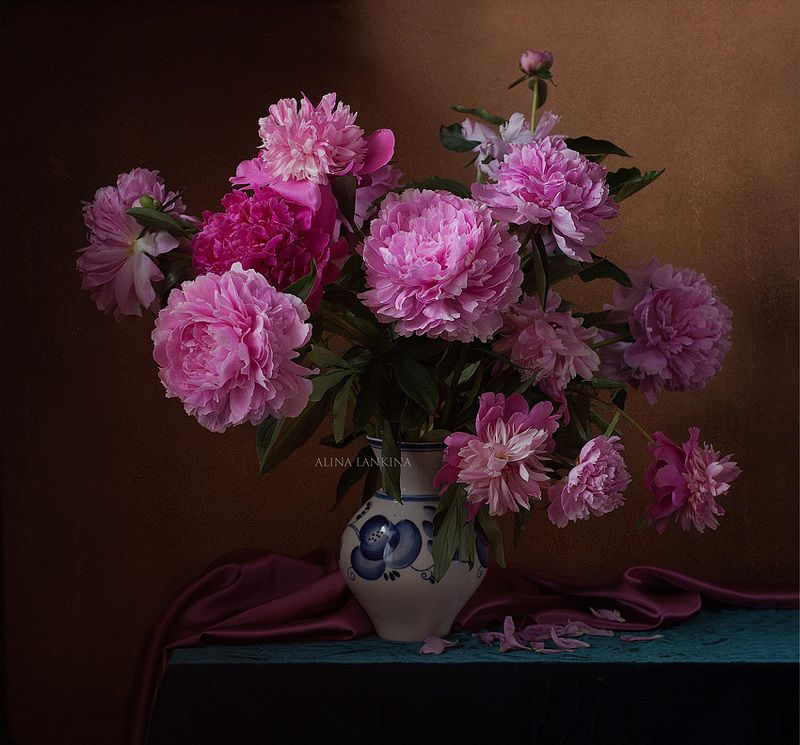 still life, натюрморт, фотонатюрморт, пионы, букет, цветы, лето, июнь, алина ланкина ***photo preview