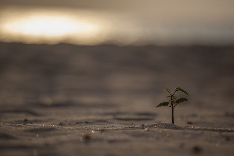 Начало! photo preview