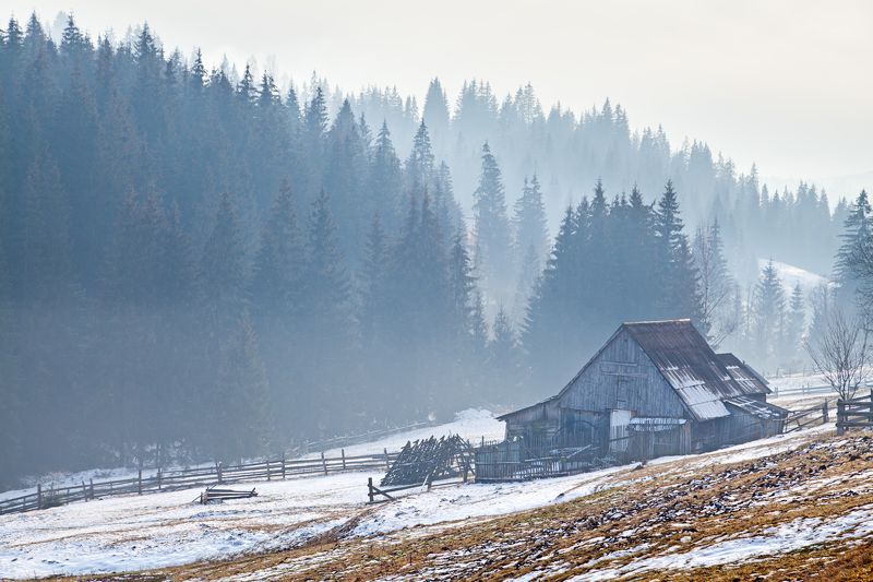 Почти веснаphoto preview