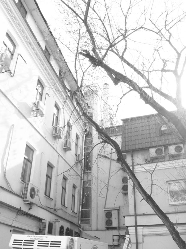 *** Веснаphoto preview