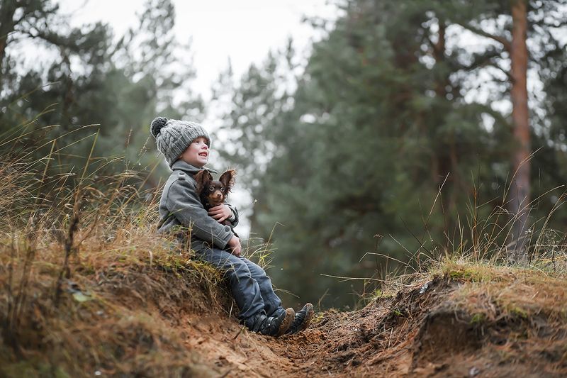 Два другаphoto preview