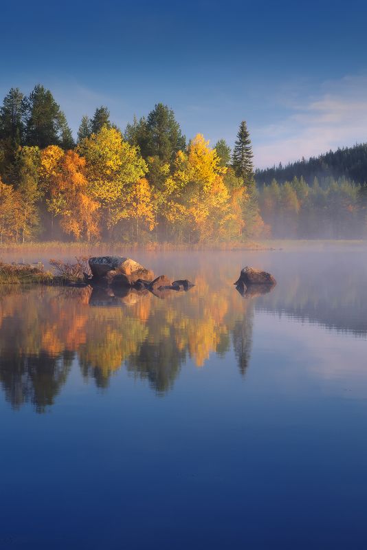 мурманская, осень Золотое на голубомphoto preview