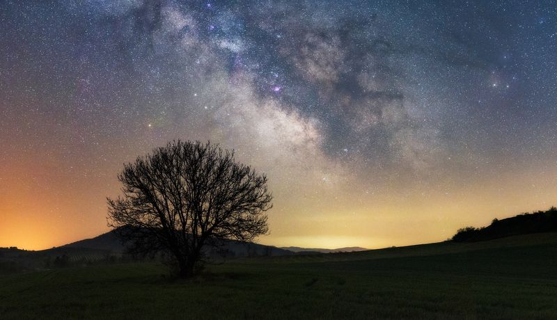 Самотното дървоphoto preview