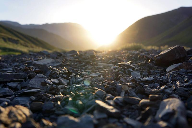 Дорога в райphoto preview