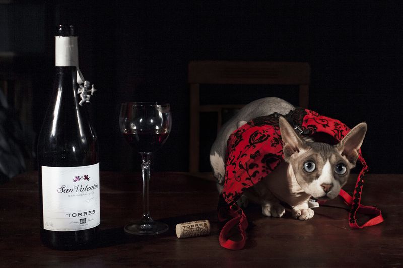 #love #kirillgolovan After wineglass of winephoto preview