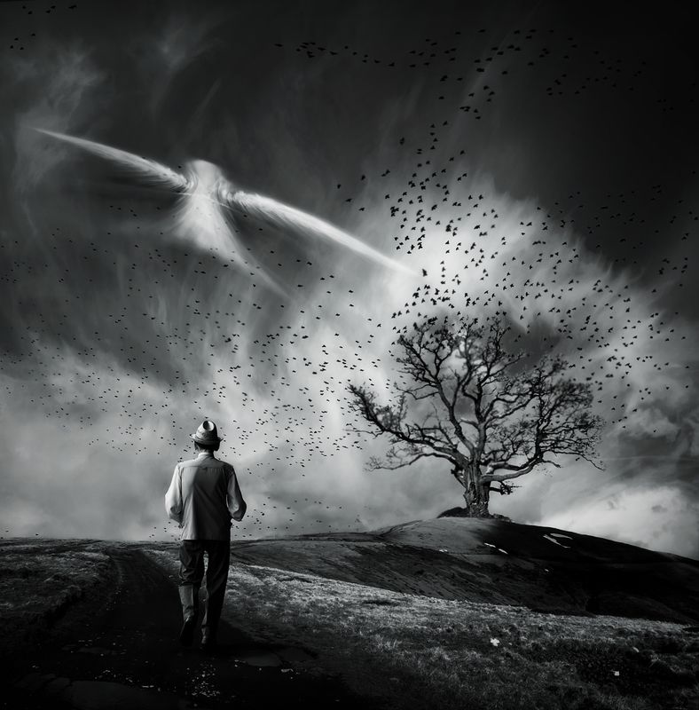 Lead me...photo preview