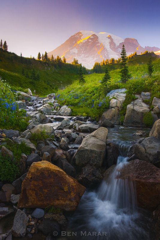 In God\'s Gardenphoto preview