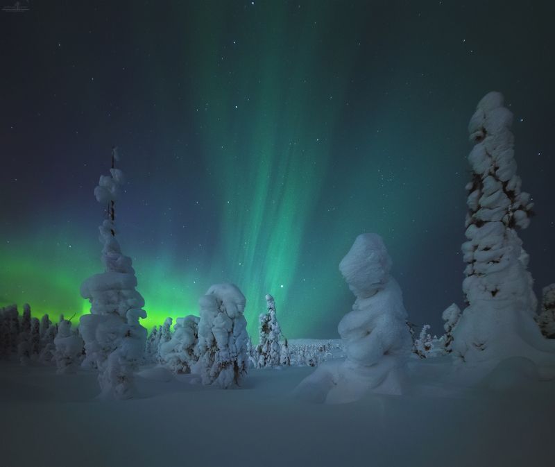 кандалакша Саамская Мадоннаphoto preview