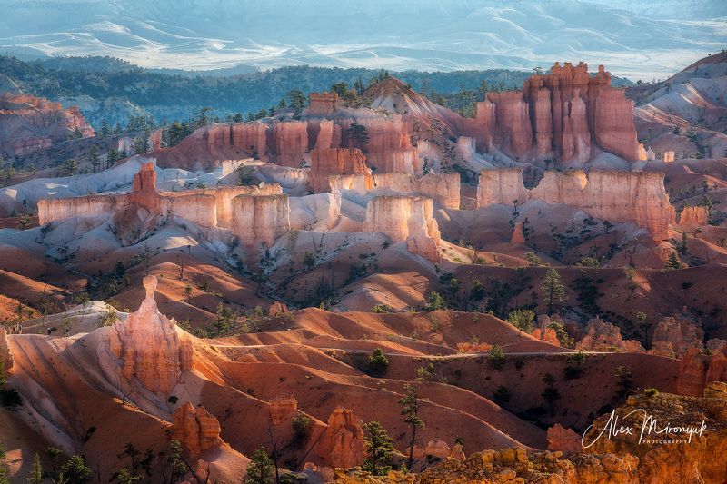 сша, юта, брайс, каньон, утро, свет, дымка, колонны, свечение Утро в Брайс Каньонеphoto preview