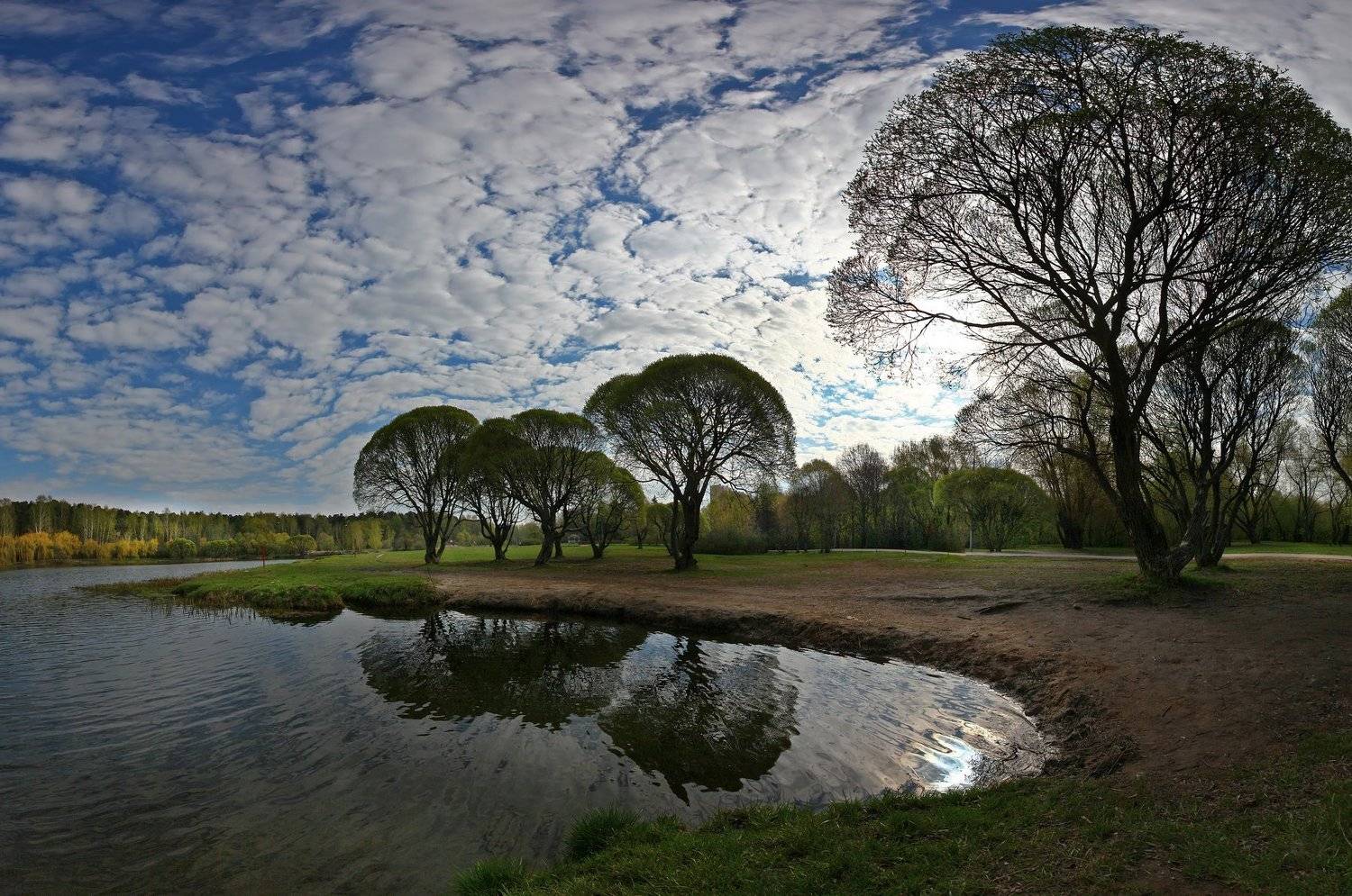 , Лихарев Александр