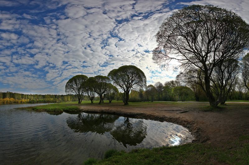Весенняя....photo preview