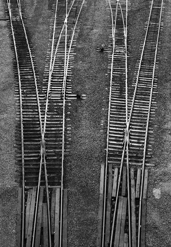 Выбери свою ...photo preview