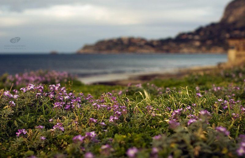 аспра, сицилия, пейзаж Миражи...photo preview