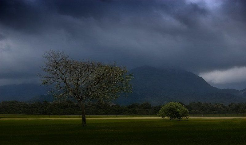 сезон дождейphoto preview