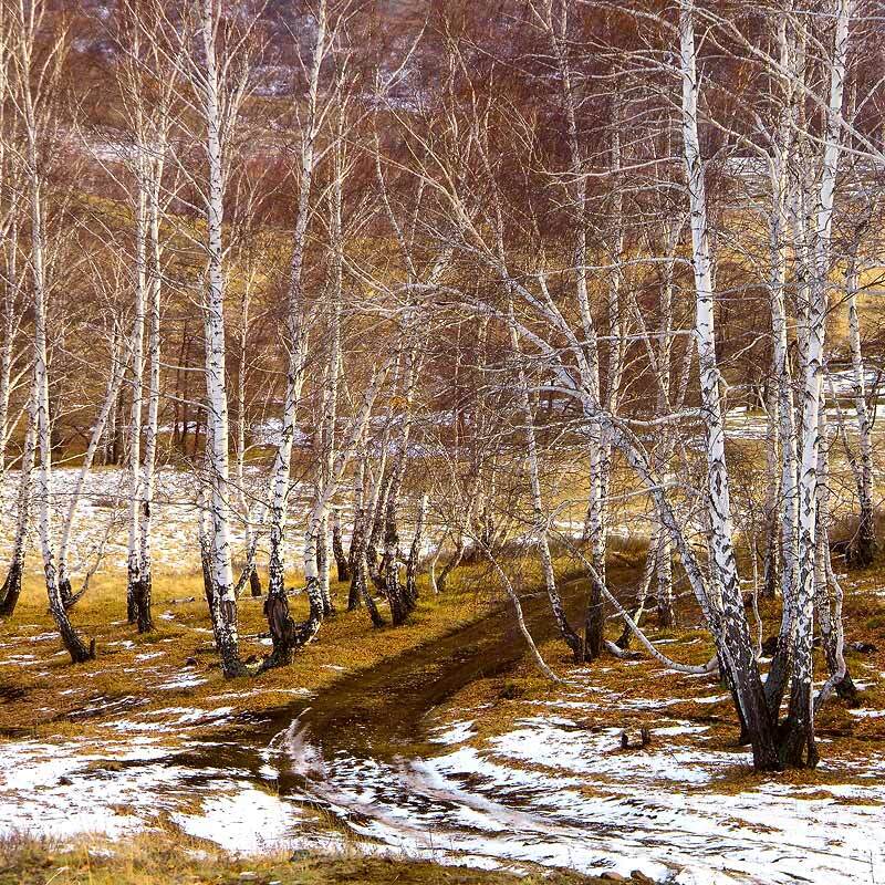 Зима отступила!!!. Автор: Качурин Алексей весна,, Качурин Алексей