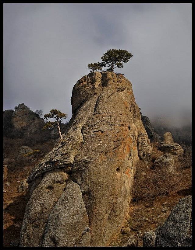***. Автор: Владимир Метцгер , Владимир Метцгер