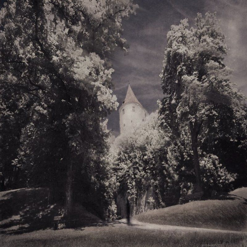 alone .photo preview