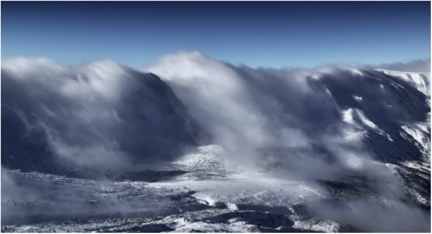 , Денис Кривой