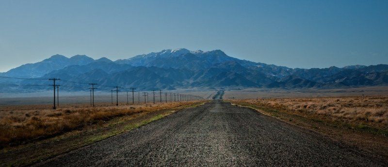 алтын-эмель.национальный.парк.заповедник.казахстан.поющий, бархан.песок.растения.красная, книга.дюна.саксаул.горы, катутау.басши.меловые, горы, актау.красная, глина. Алтын-Емелphoto preview