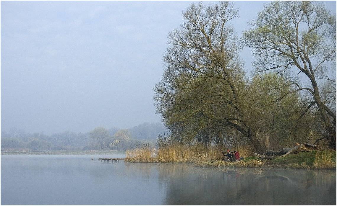 , Николай Шахманцир