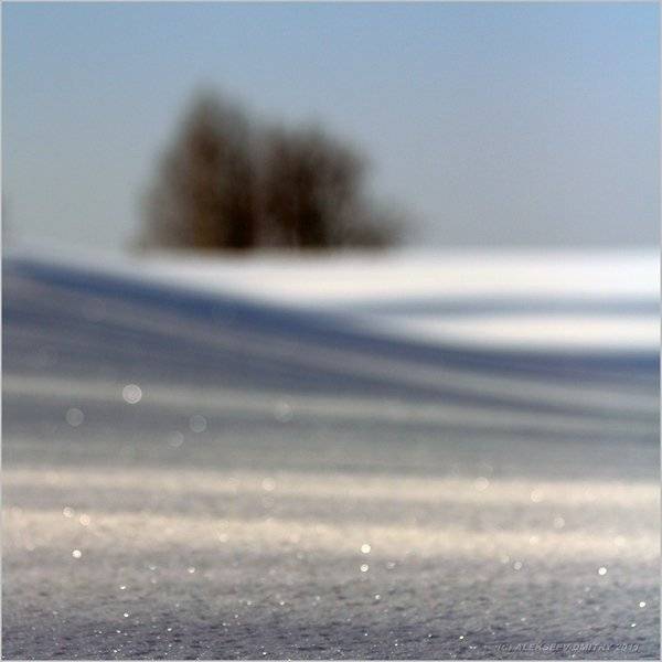 , Дмитрий Алексеев