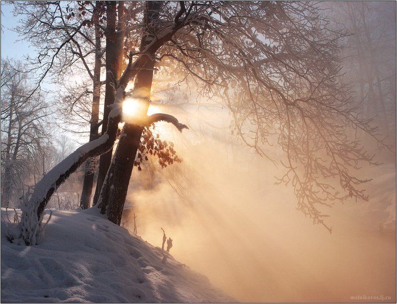 Радость утреннего солнцаphoto preview