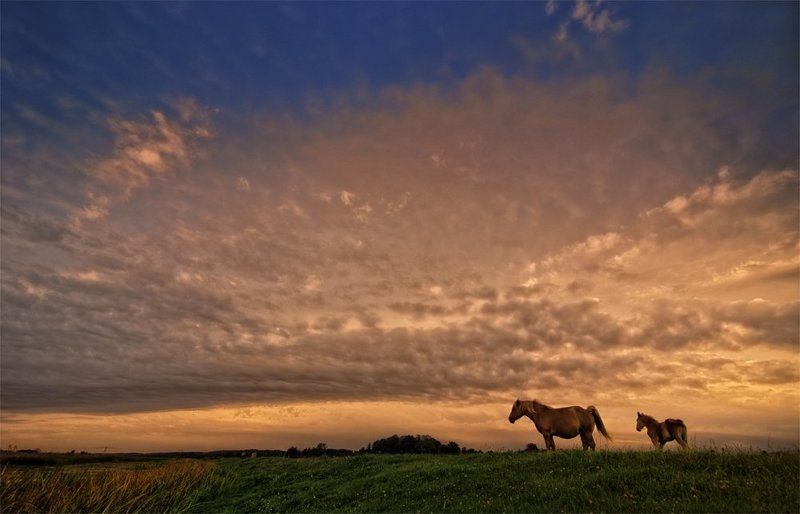 заря Краски зари фото превью