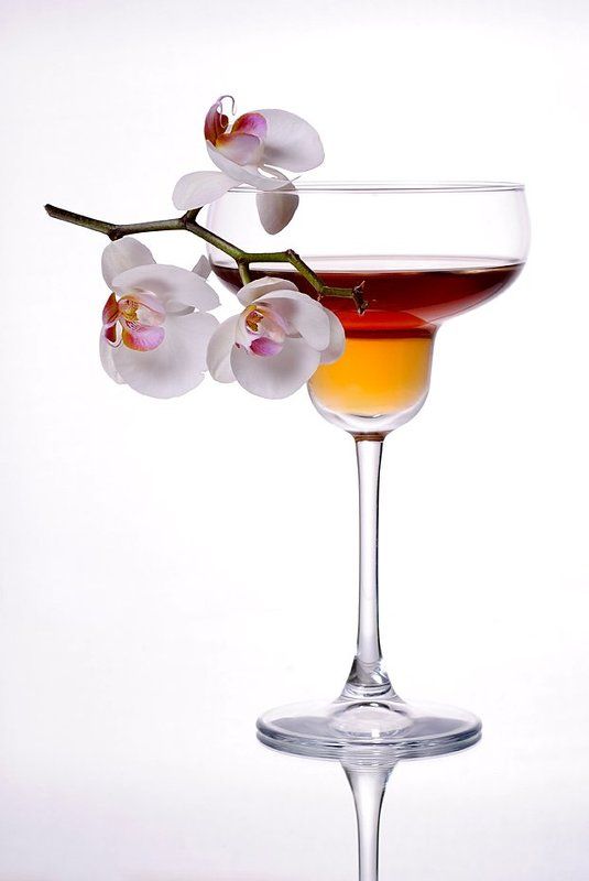 бокал, орхидея, предметная съемка, фотонатюрморт, цветы Бордоphoto preview