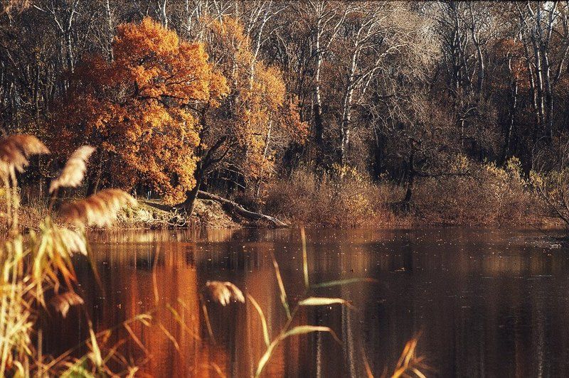 плёнка старое русло Днестраphoto preview