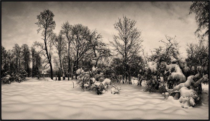 Зимний несолнечный пейзажphoto preview