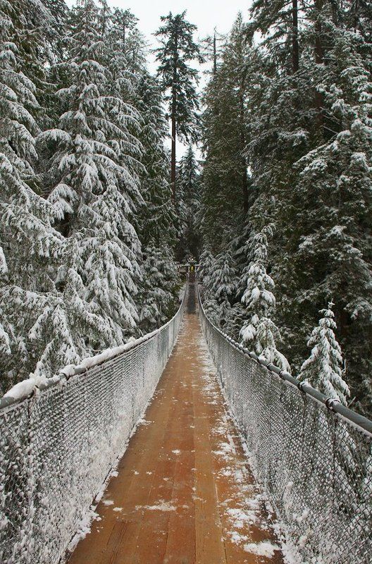 ванкувер., национальный, парк, капилан Let\'s Gophoto preview