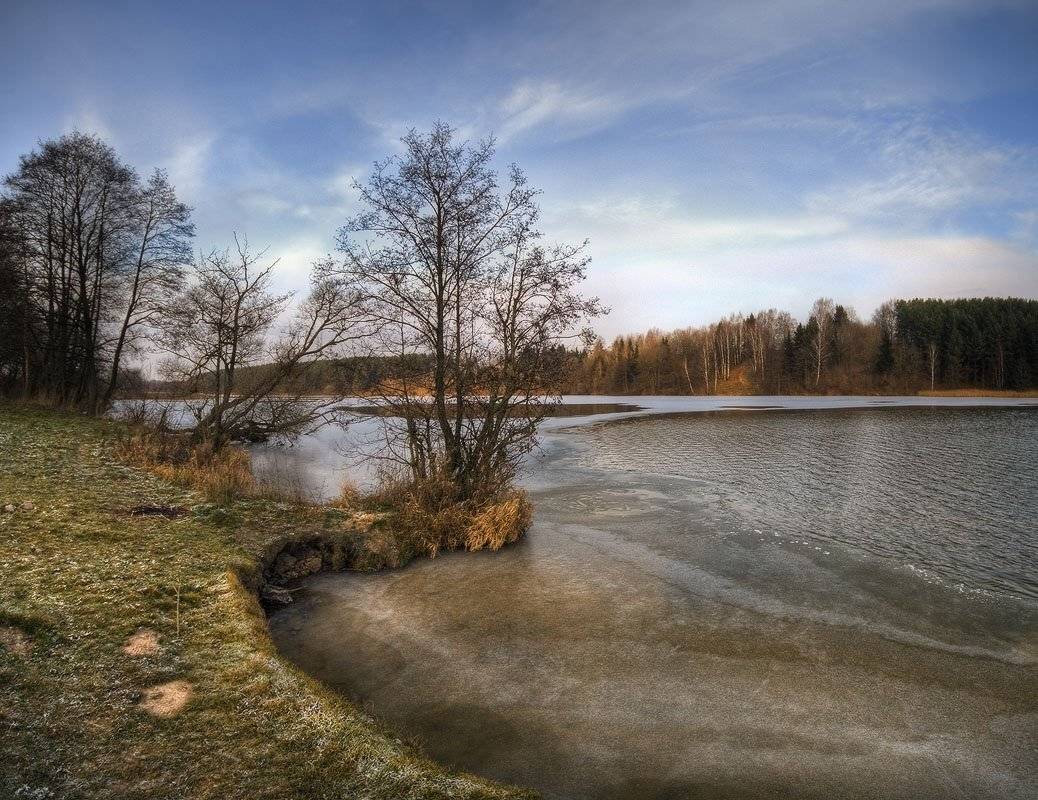 первый, лед, птичь, ноябрь, Dmitry Apalikov