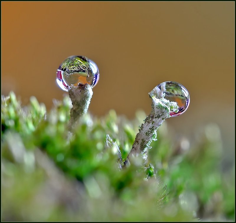 Параллельные миры.photo preview