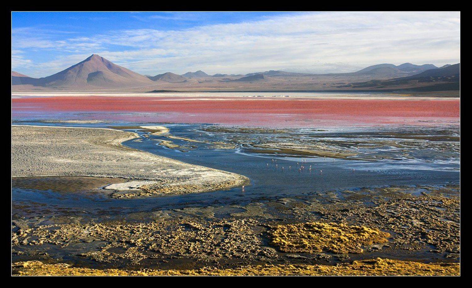 боливия, лагуна, колорадо, южная, америка, альтиплано, Виктория Роготнева