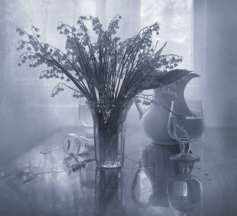 ландыши, утро, Утро раннеееphoto preview