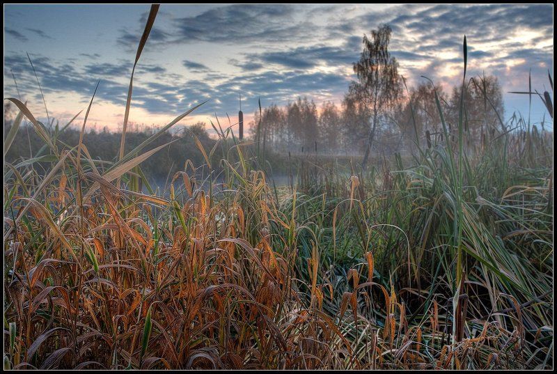 Отшумела осень золотая 2photo preview