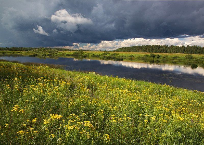 Портфолио - милости прошуphoto preview