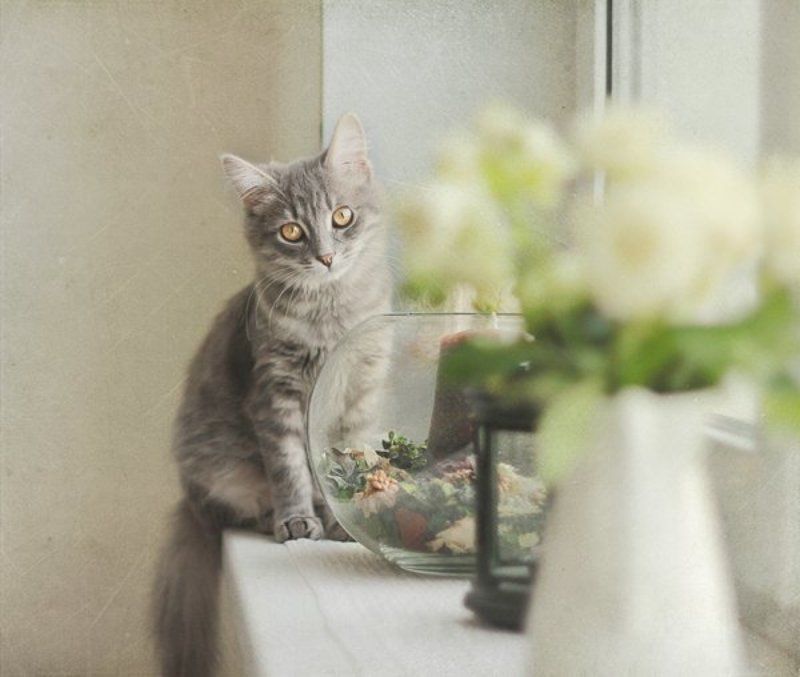 Соня фото превью