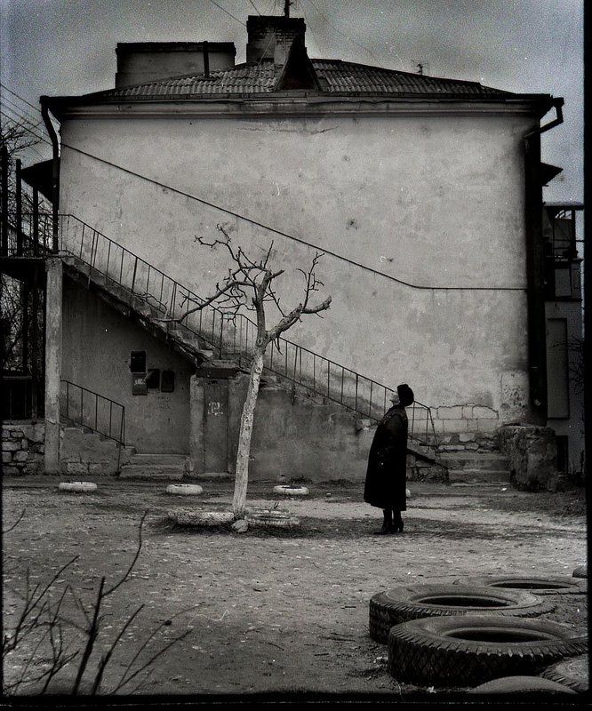 ЧУДО-деревоphoto preview