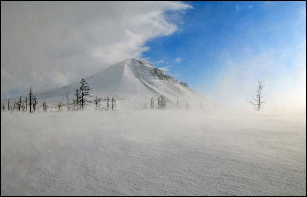 Ветер!. Автор: Vladimir таймыр, Vladimir