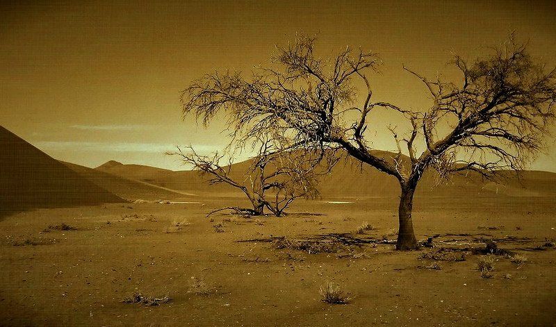 ушедшая жизнь (вариант)photo preview