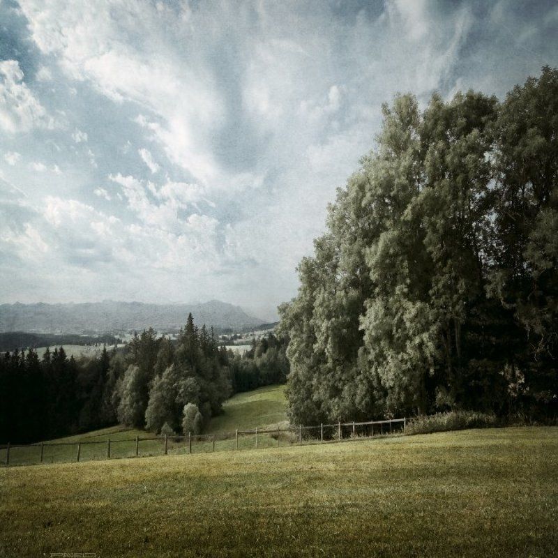 not, alone .photo preview