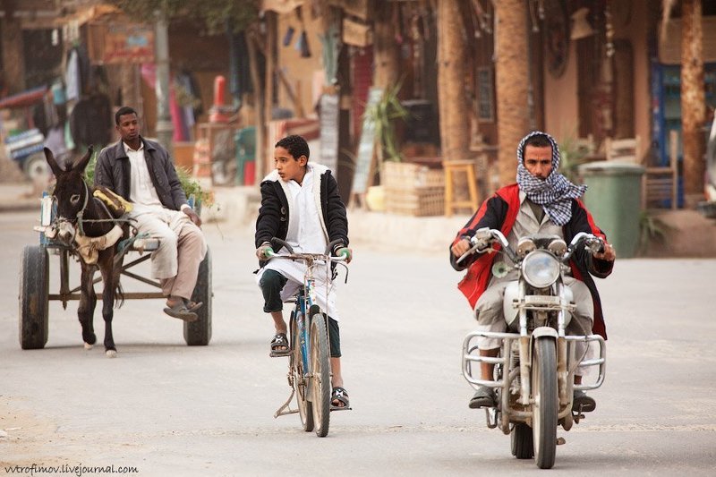 Evolutionphoto preview