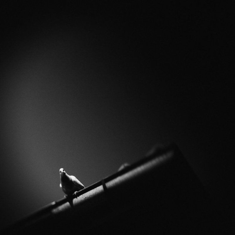 надеждаphoto preview