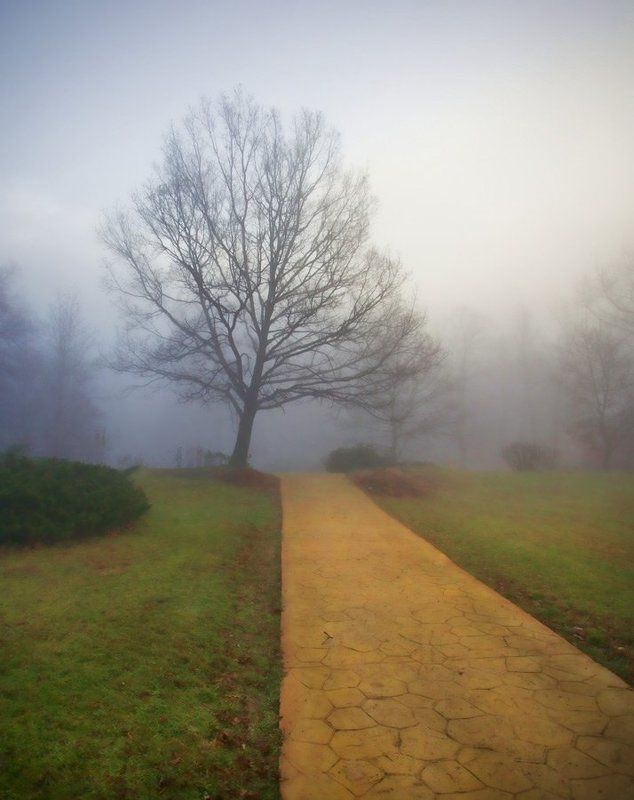 В туманеphoto preview