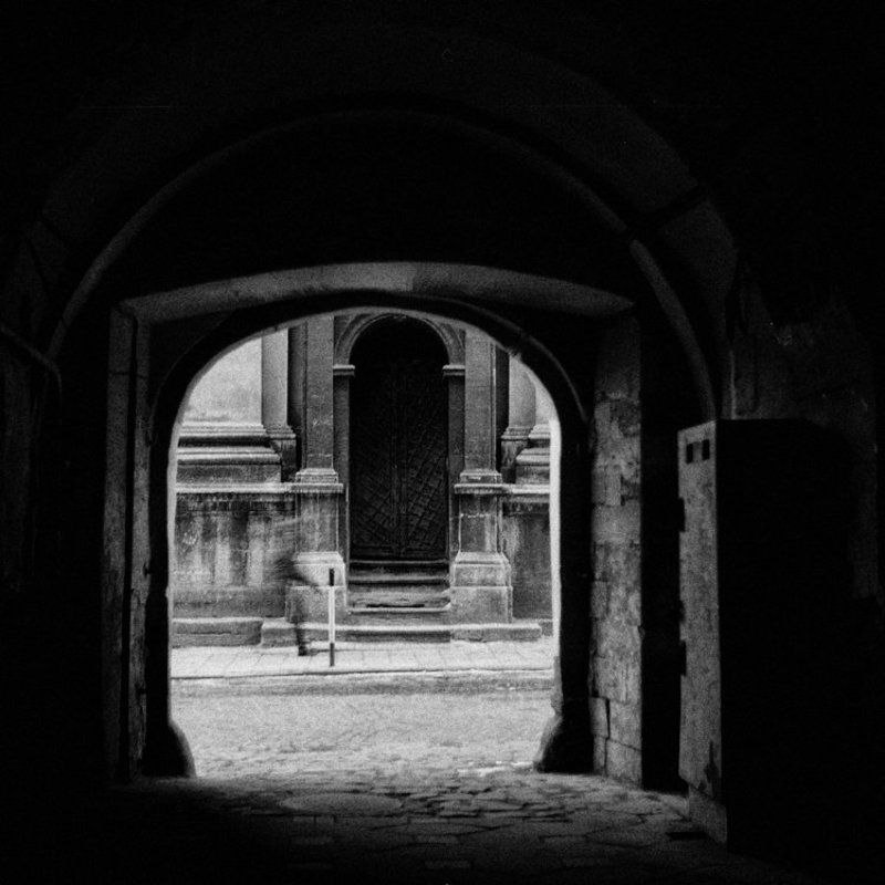 __burgher__photo preview