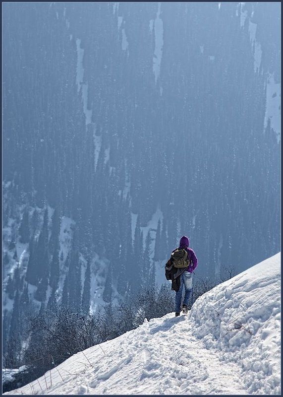 Дорогу осилит идущий ...*4photo preview