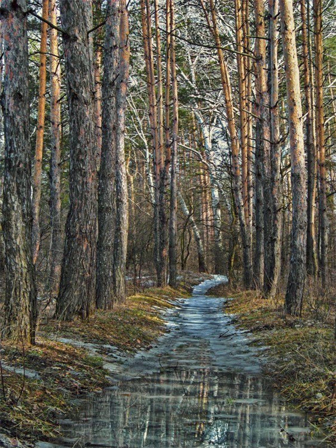 Тропа Весны. Автор: Сергей Иванов , Сергей Иванов